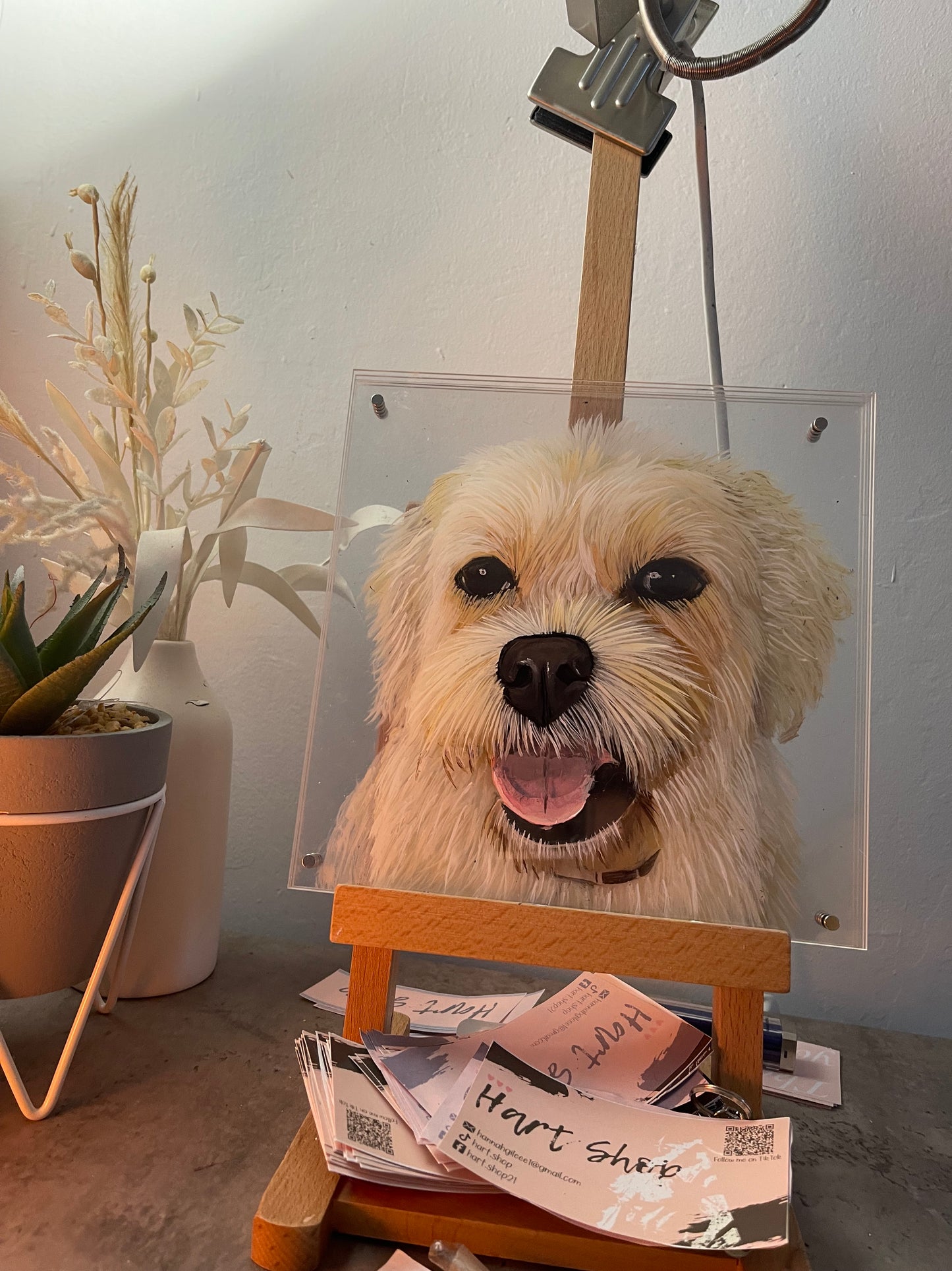 3Dimensional Pet Portraits