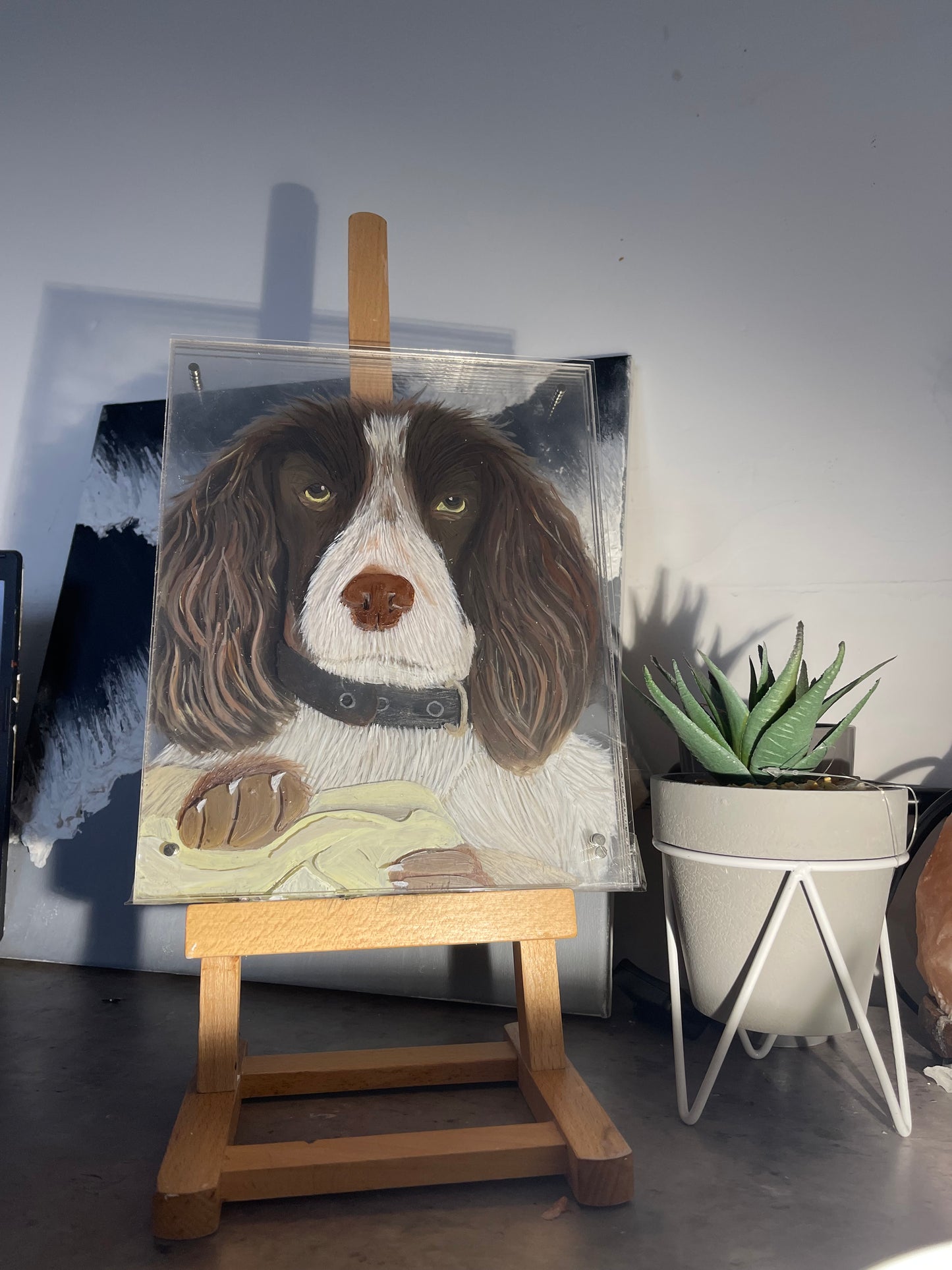 3Dimensional Pet Portraits