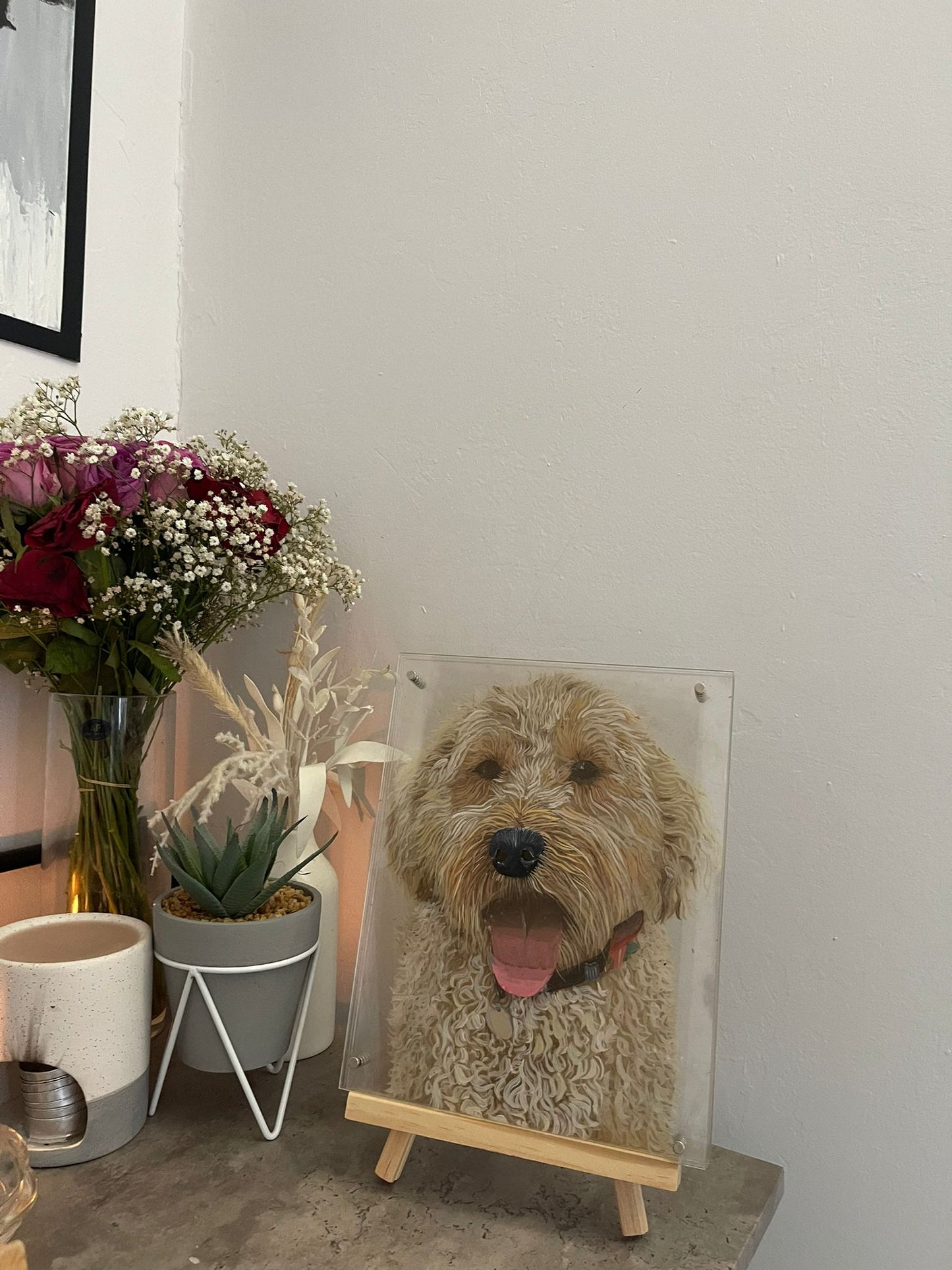 3Dimensional Pet Portraits