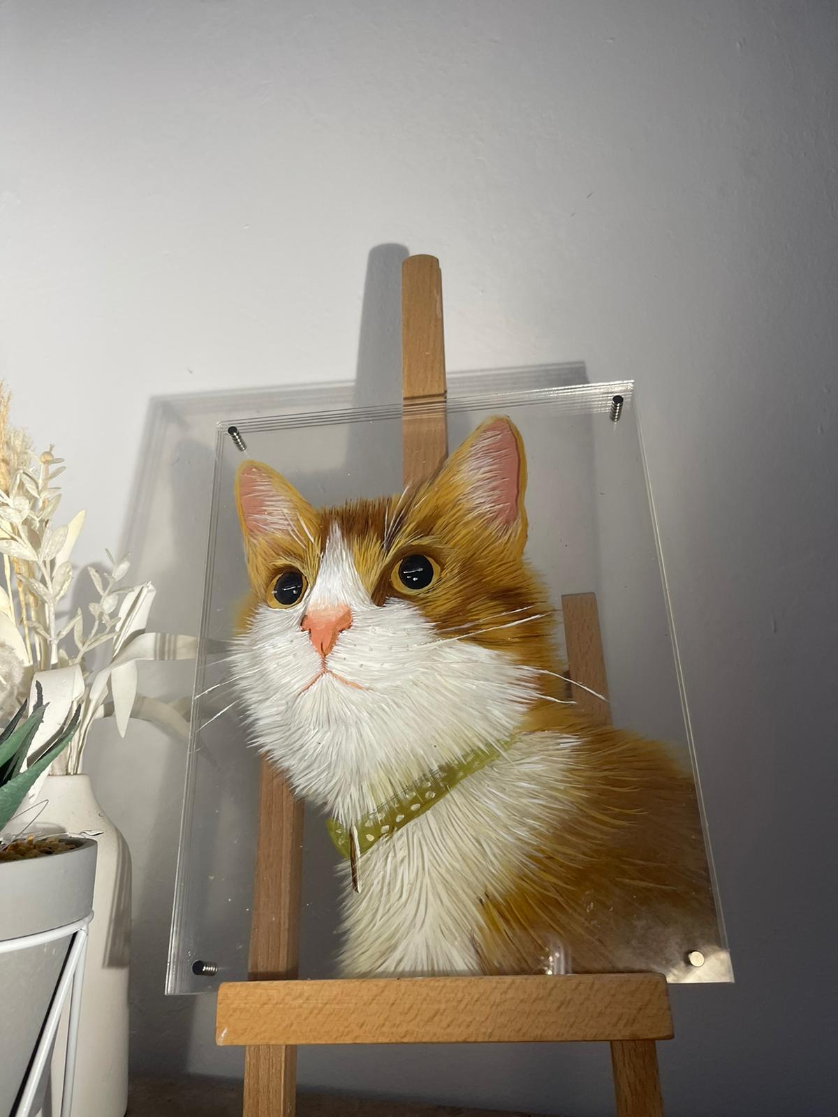 3Dimensional Pet Portraits