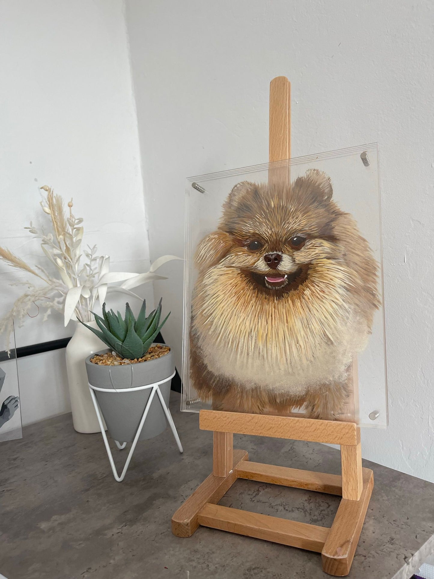 3Dimensional Pet Portraits