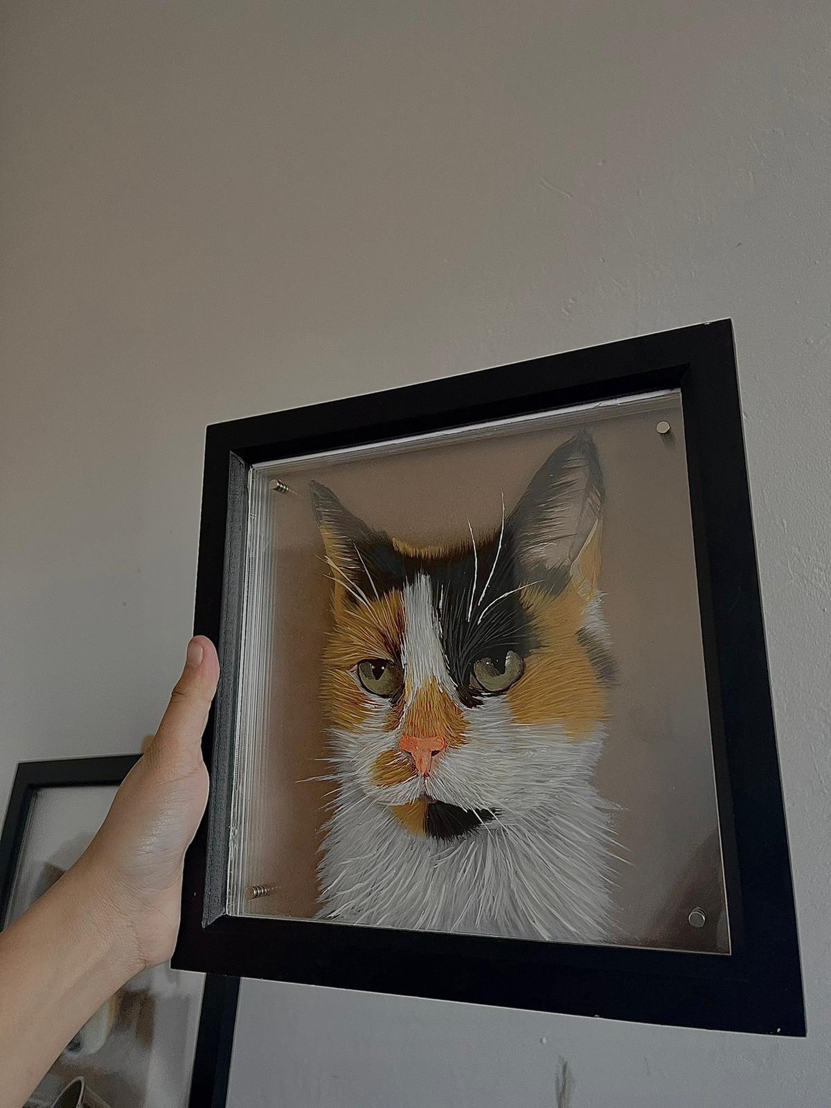 3Dimensional Pet Portraits